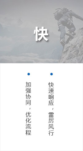 精藝股份 精藝股份