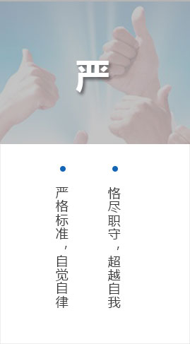精藝股份 精藝股份